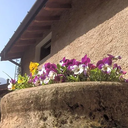 Bed & Breakfast La Tana Del Ghiro Porto Valtravaglia