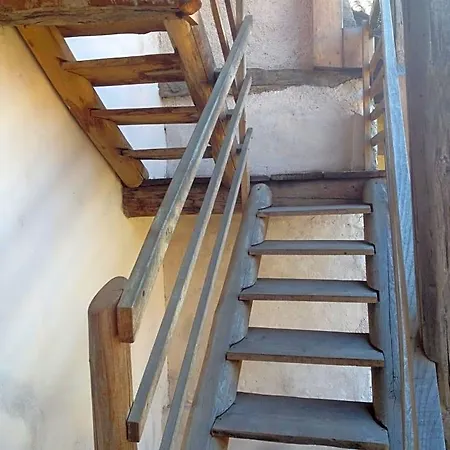 La Tana Del Ghiro 3*