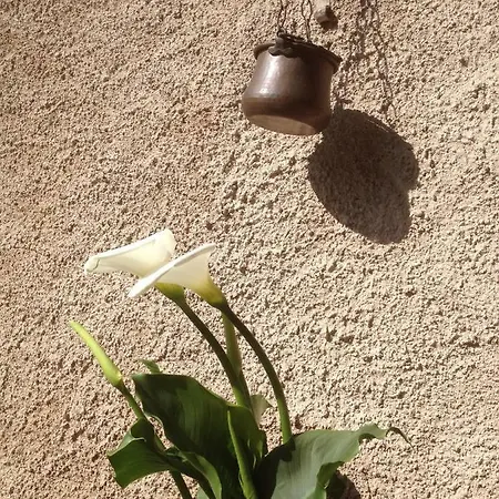 Bed & Breakfast La Tana Del Ghiro Porto Valtravaglia