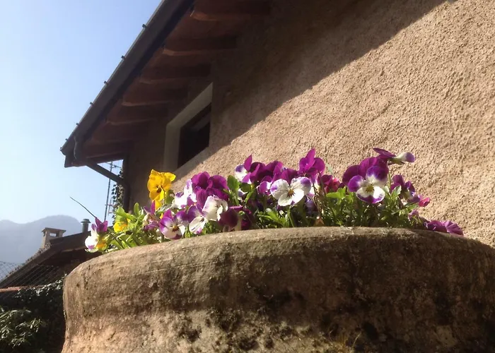 La Tana Del Ghiro Bed and breakfast Porto Valtravaglia